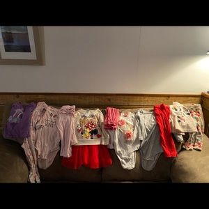 12 month fall/winter purge all GUC